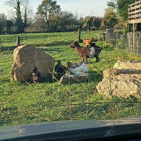 Etudiant クタンス